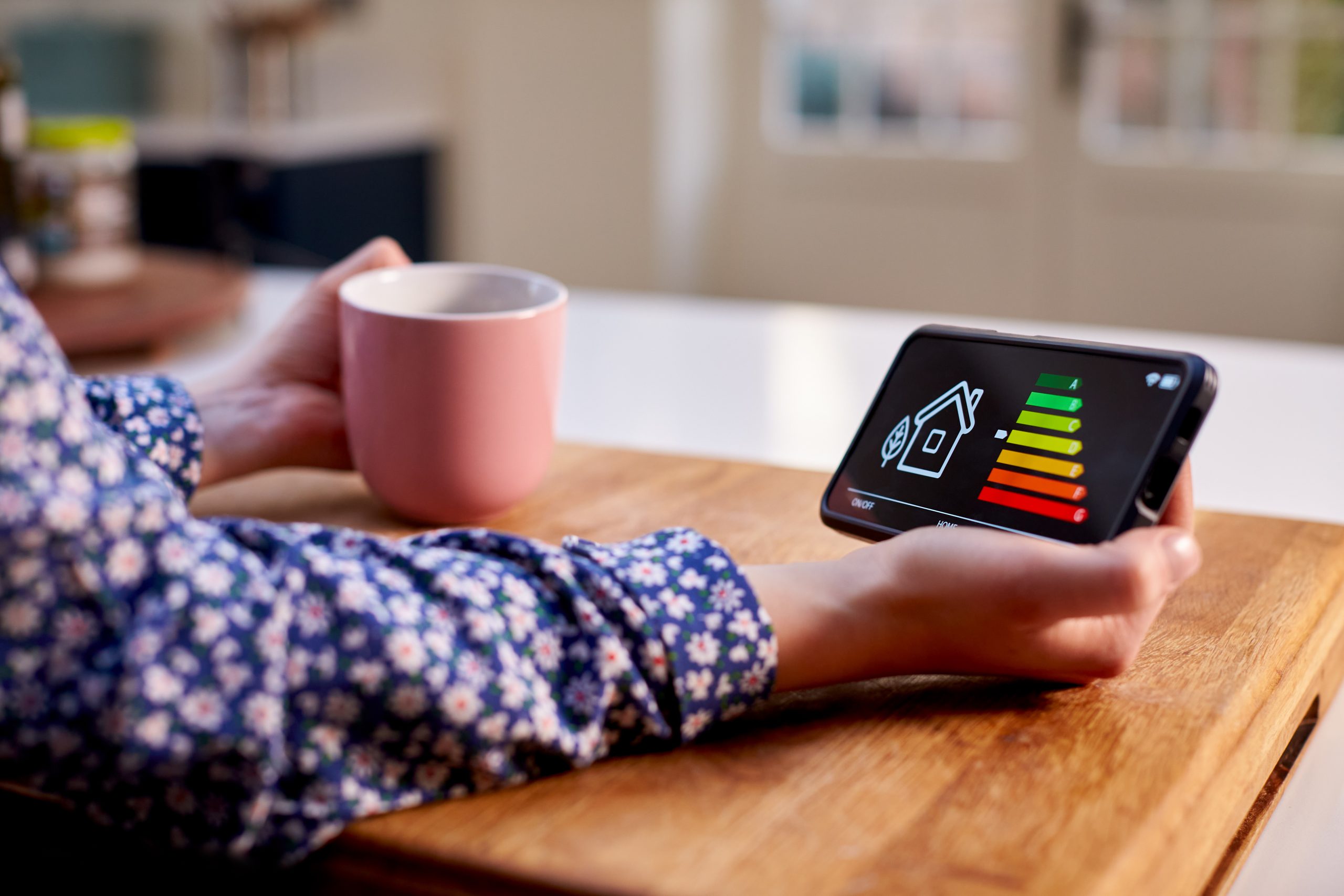 A woman holding a smart meter showing energy consumption.